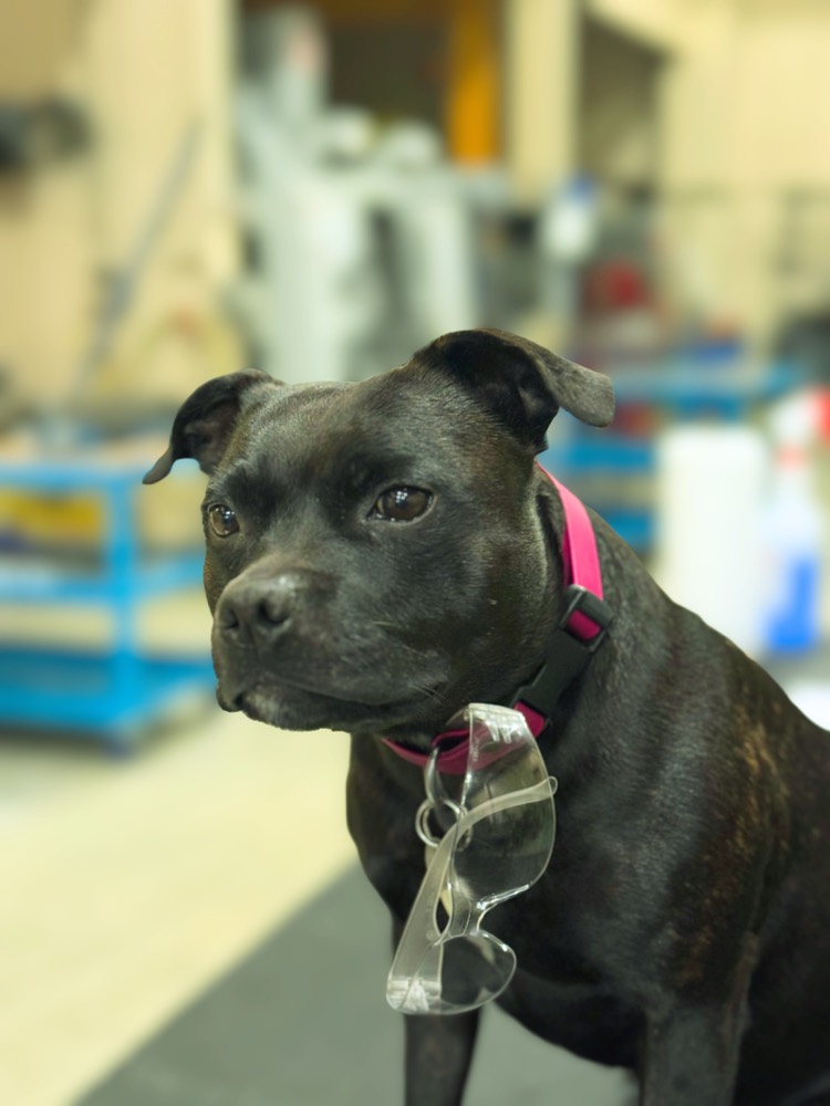 Rocca, Security at Core Tools